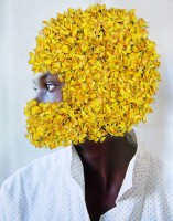 https://studiodaubal.com:443/files/gimgs/th-141_webfleur jaune.jpg